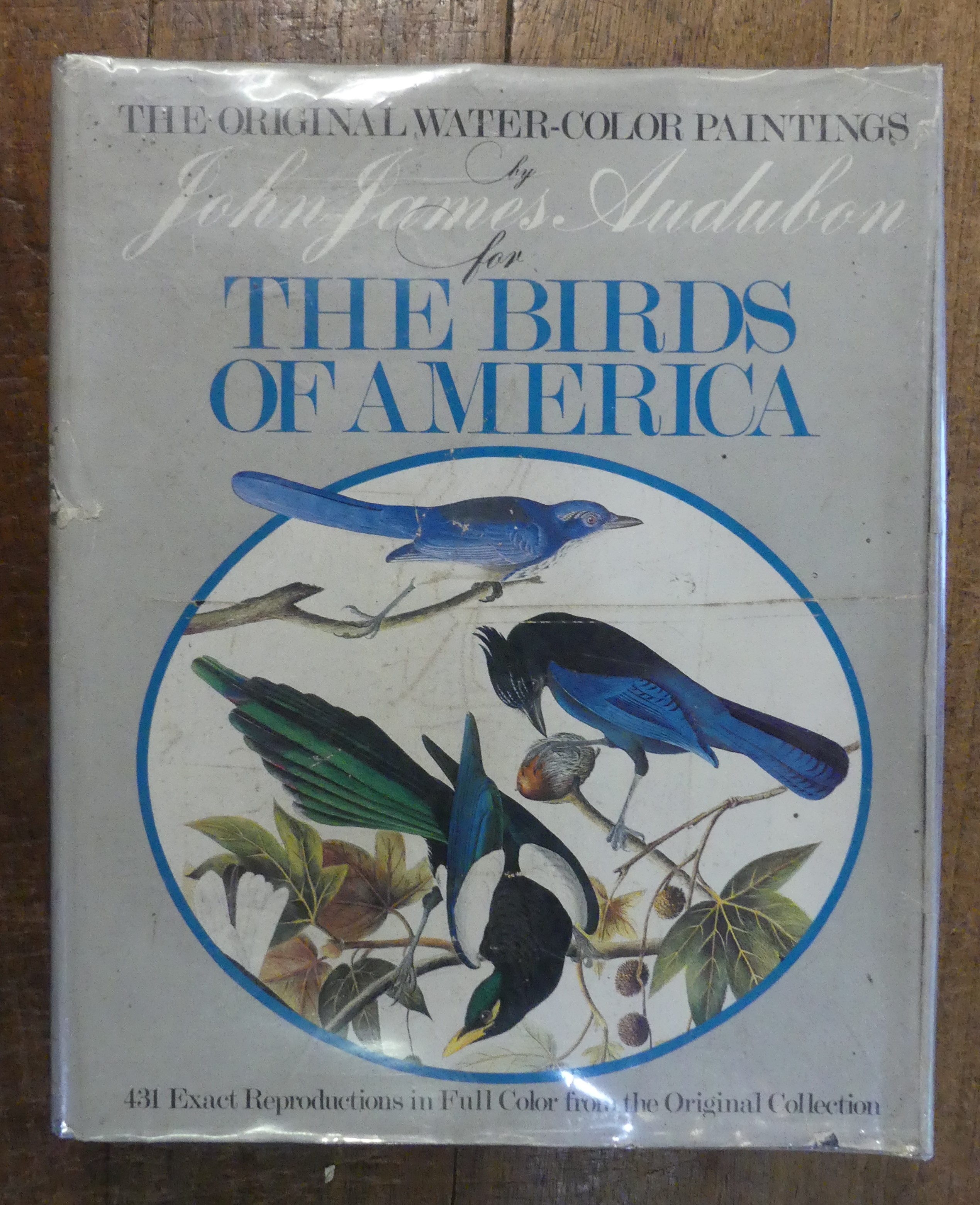 The Original Water-Colour Paintings By John James Audubon for Birds of America Volume I