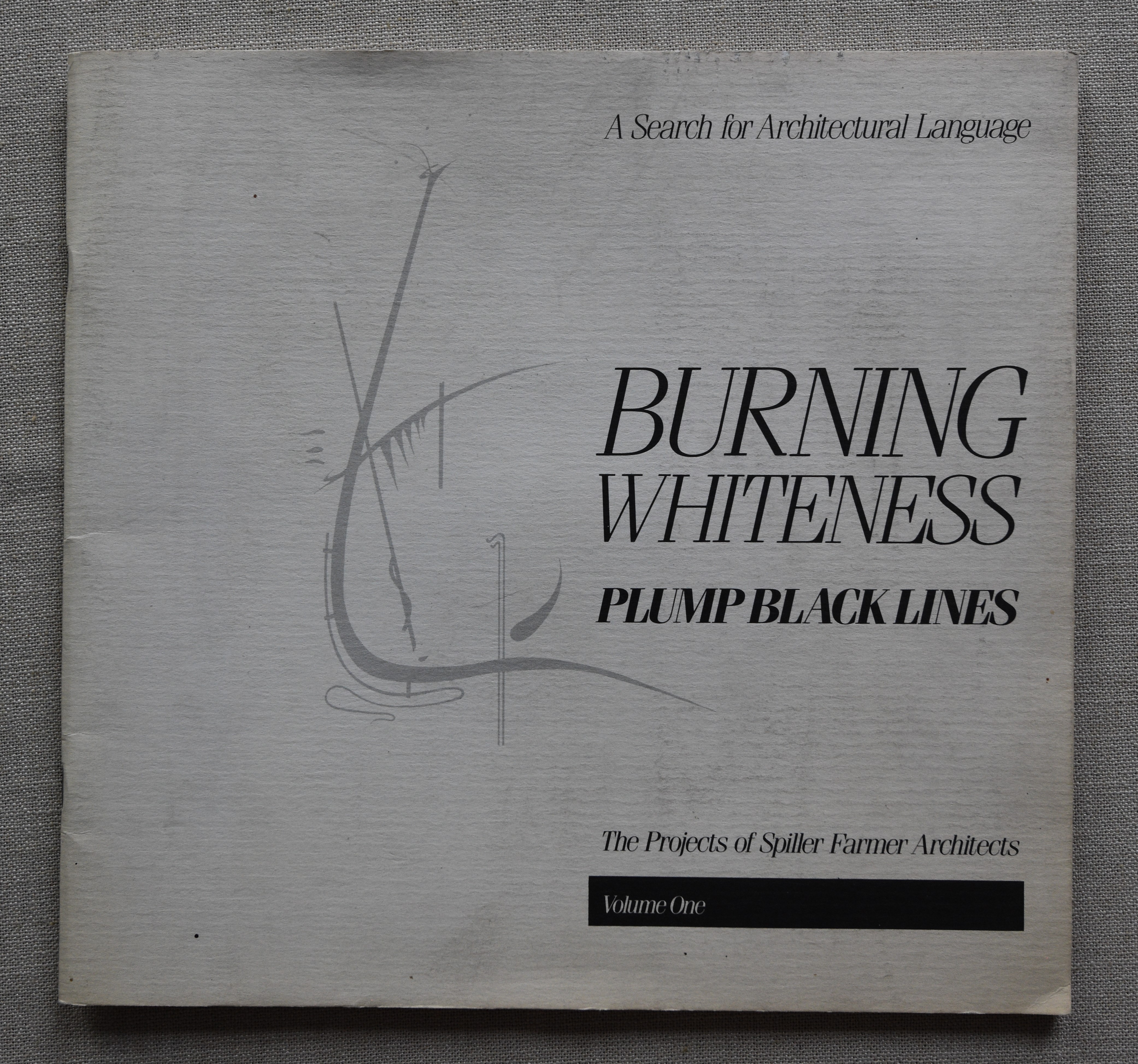 Burning Whiteness Plump Black Lines The Projects of Spiller Farmer Architects