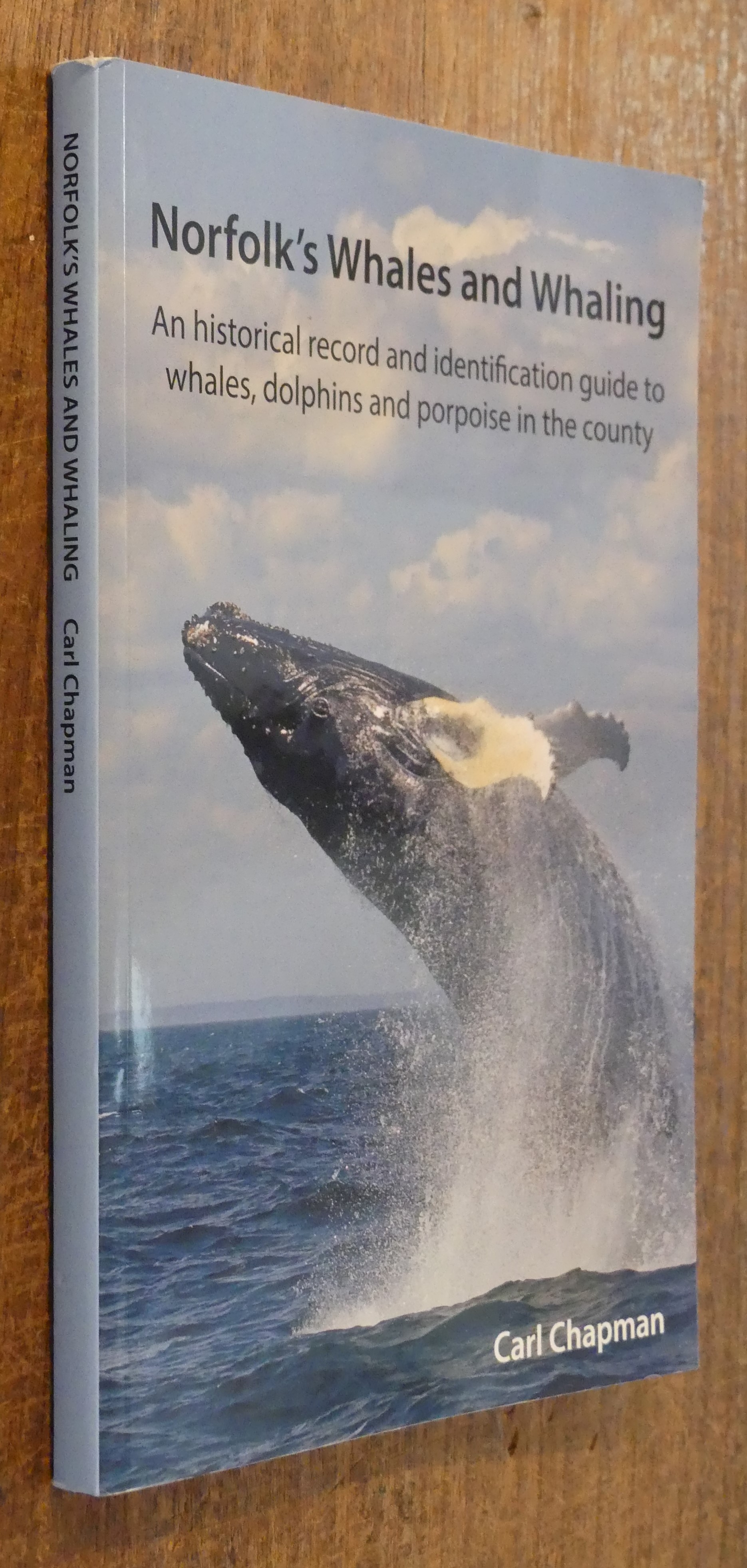 Norfolk's Whales and Whaling. An Historical Record and Identification Guide to Whales, Dolphins and Porpoise in the County. (Norfolk & Norwich Naturalists Society Occasional Publication 21)