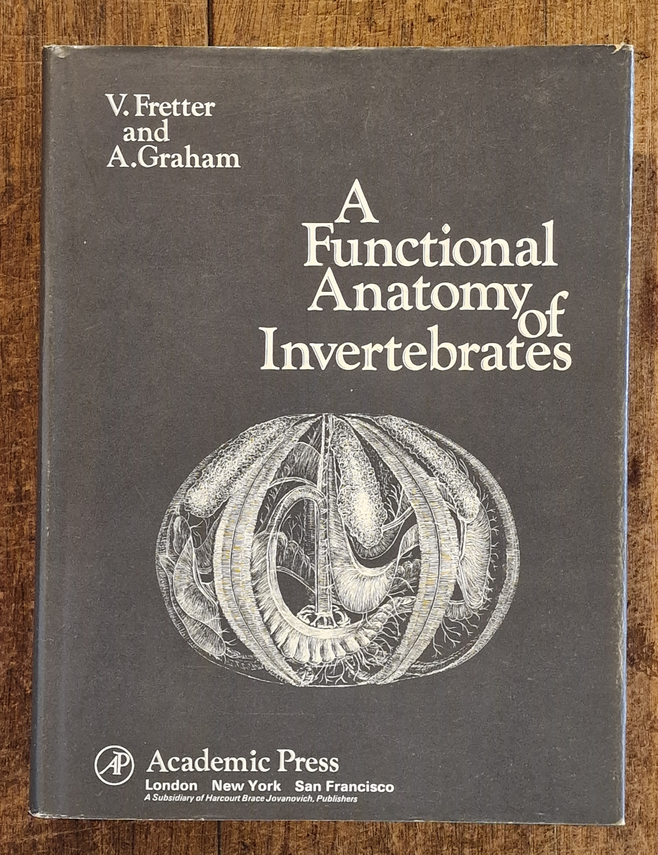 Image for A Functional Anatomy of Invertebrates A Functional Anatomy of Invertebrates