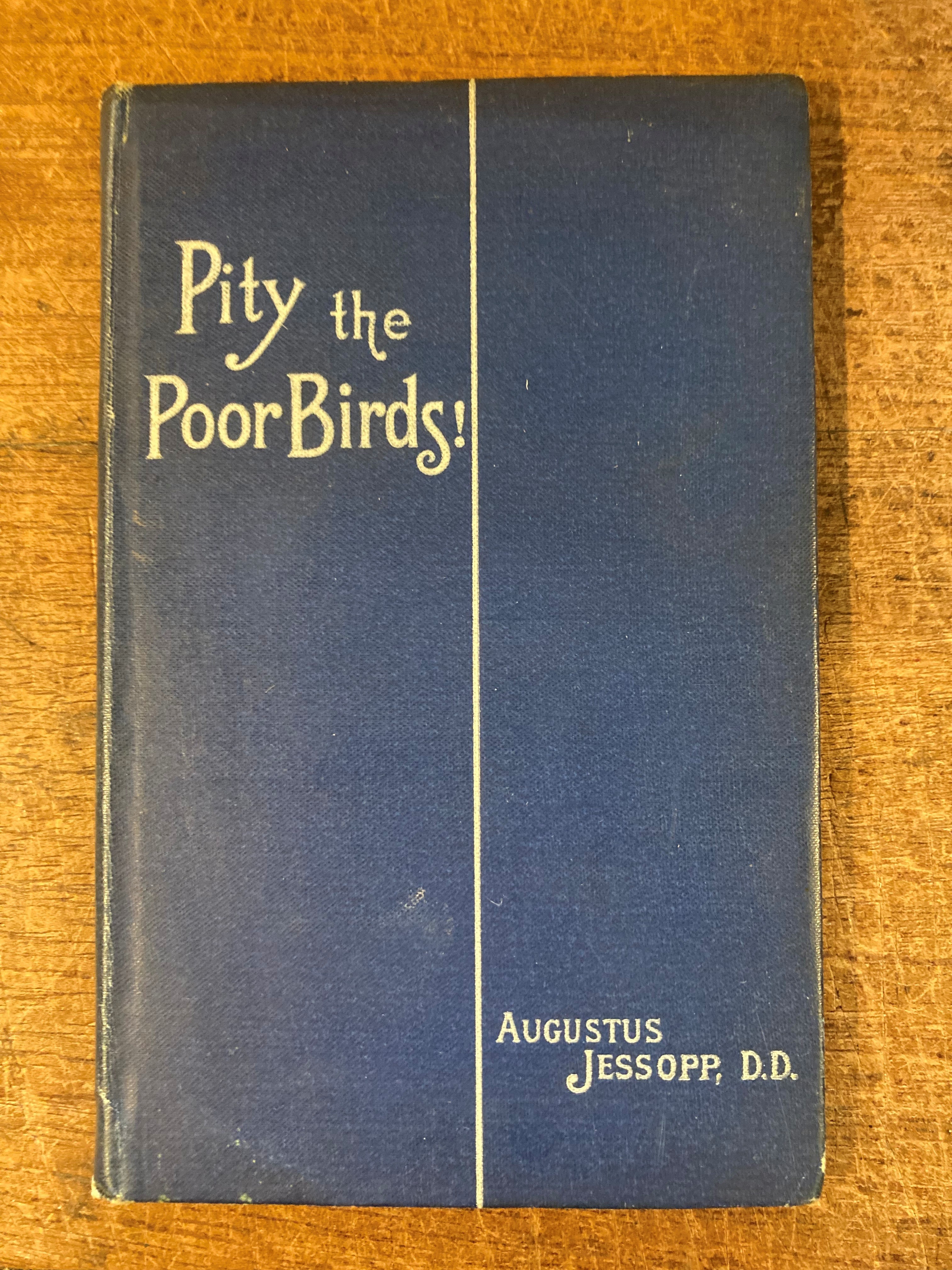 Image for Pity the Poor Birds Pity the Poor Birds