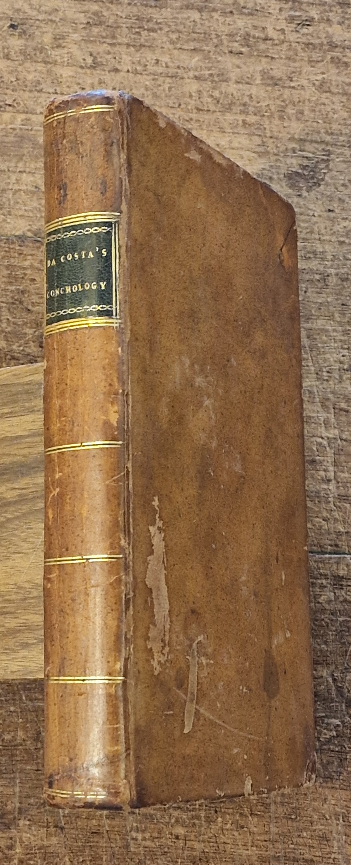 Conchology: Or, and Introduction to the Knowledge of Shells