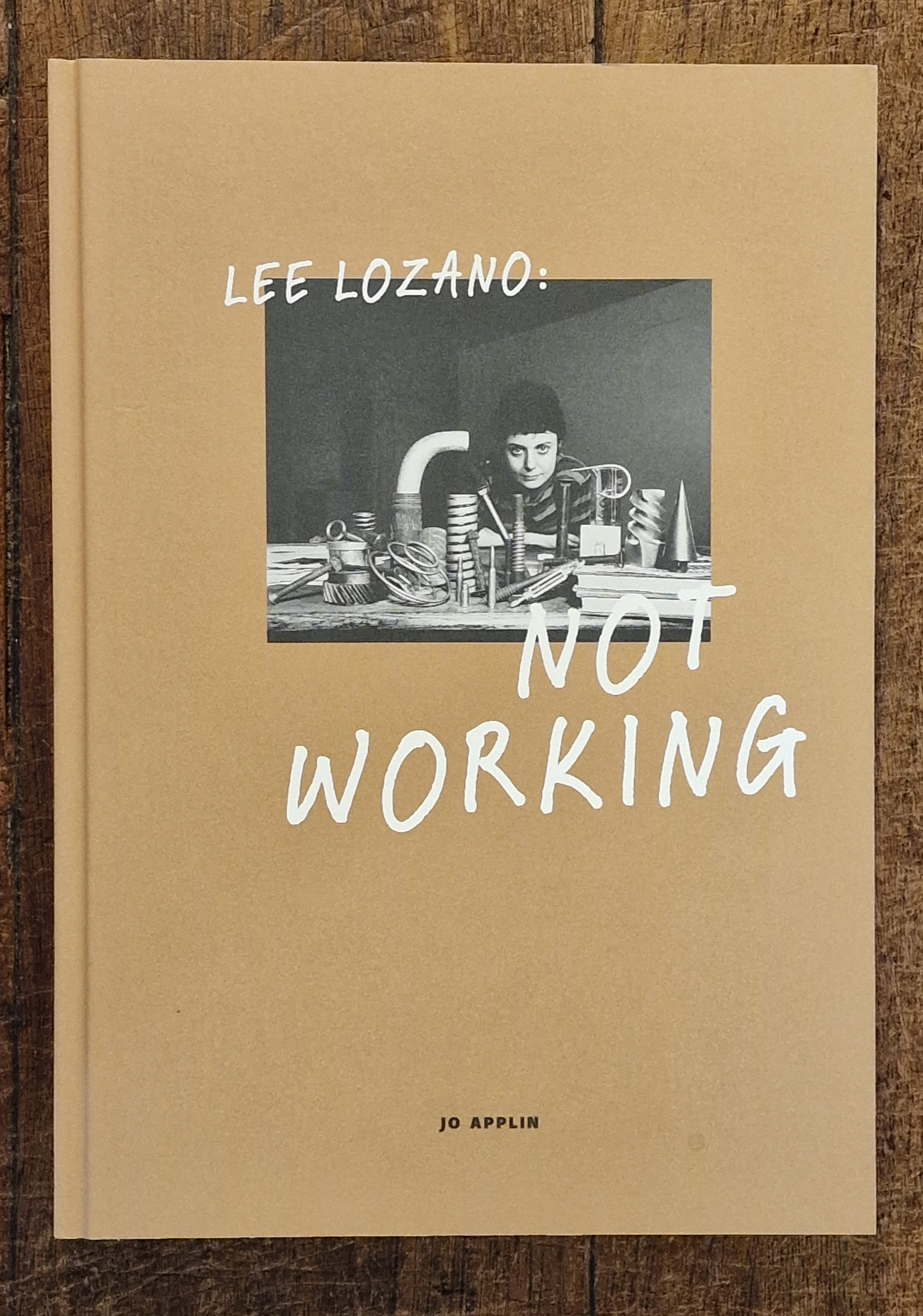 Image for Lee Lozano : Not Working Lee Lozano : Not Working