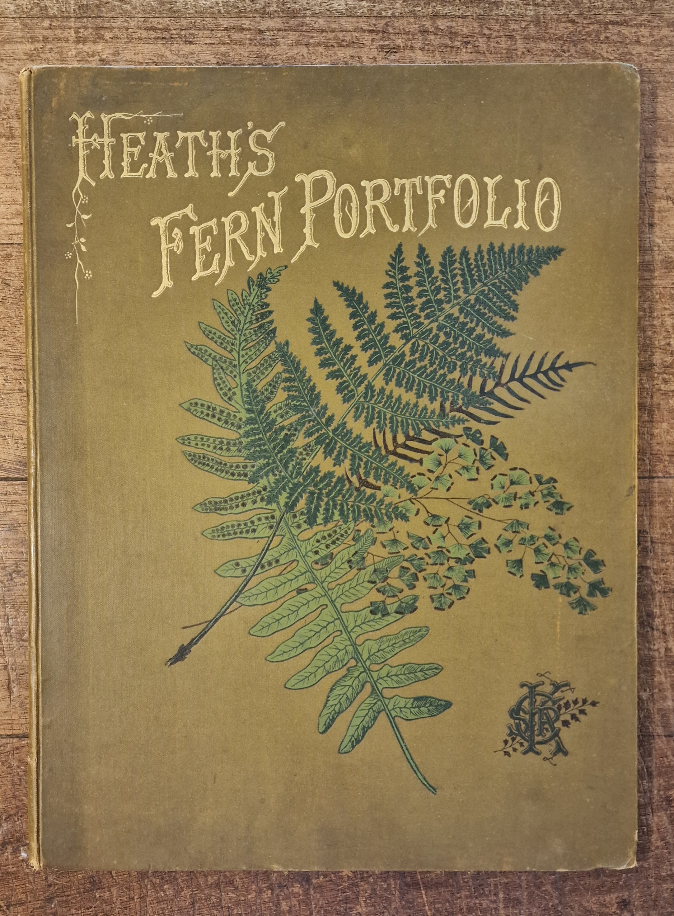 The Fern Portfolio